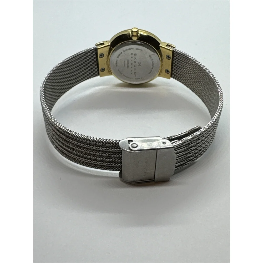 Skagen 355SGSS Women Silver Stainless Steel Mesh Analog Dial Wrist Watch JNA886